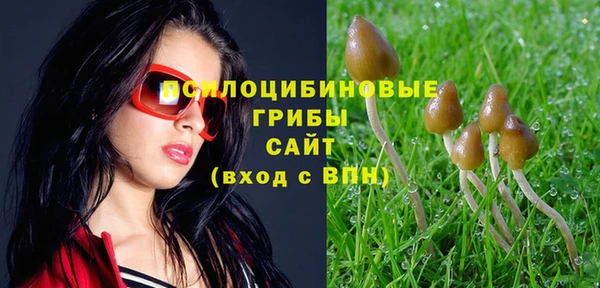 герыч Касимов